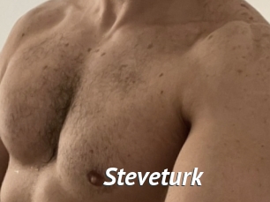 Steveturk