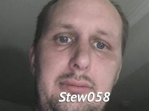 Stew058