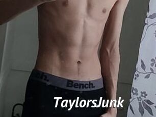 TaylorsJunk