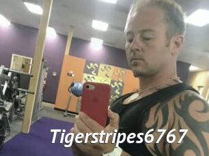 Tigerstripes6767