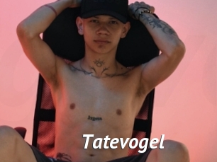 Tatevogel