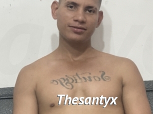 Thesantyx