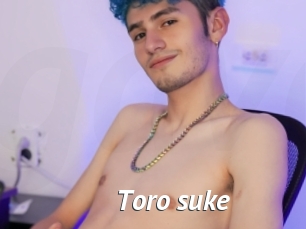 Toro_suke