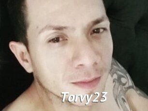 Torvy23