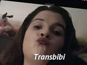 Transbibi