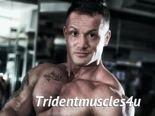 Tridentmuscles4u