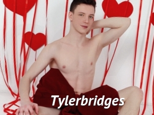 Tylerbridges