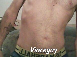 Vincegay