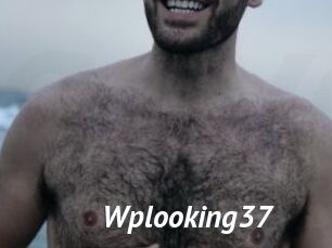 Wplooking37