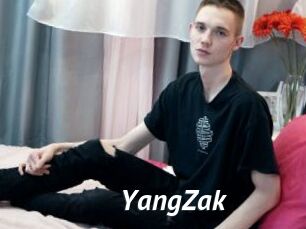 YangZak