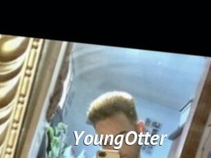 YoungOtter