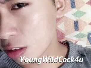 YoungWildCock4u