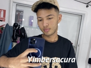 Yimbersacura