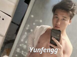 Yunfengg