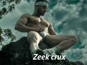 Zeek_crux